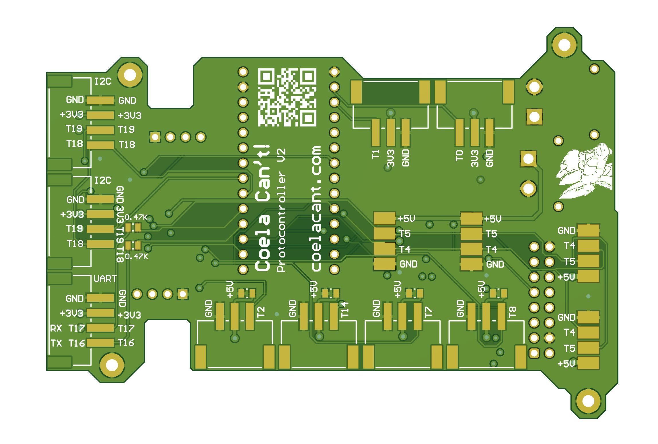 Bottom Layer 3D View without Bodies